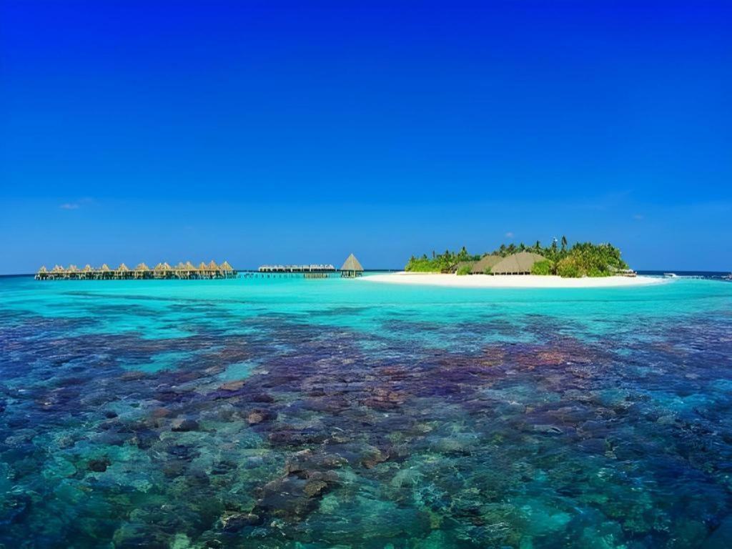 Angaga Island Resort And Spa Extérieur photo